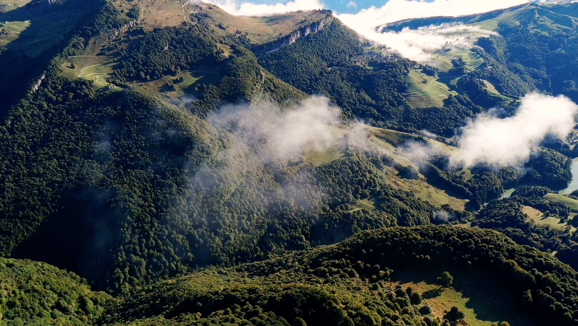 FIRE+ICE Collection for women and men | buy online at BOGNER